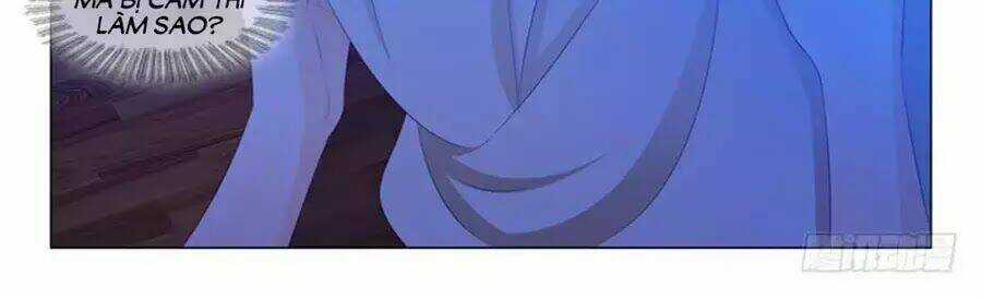 Băng Sơn Thủ Tế - Chapter 154 - Trang 14