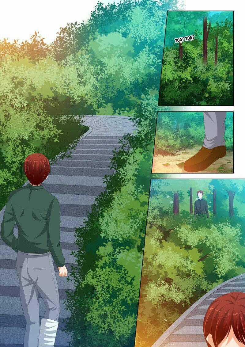 Băng Sơn Thủ Tế - Chapter 206 - Trang 8