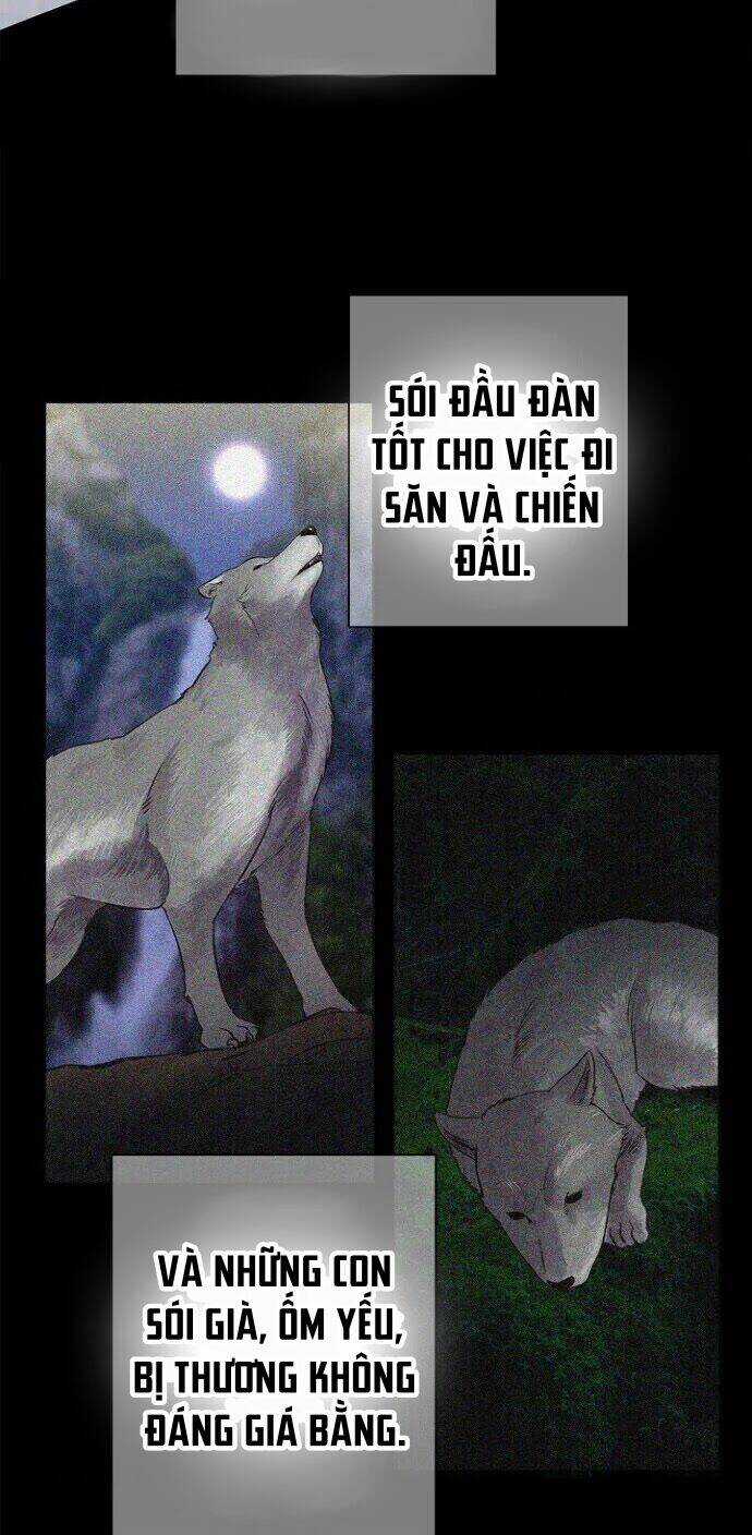 Bánh Răng Thời Gian - Chapter 28 - Trang 23