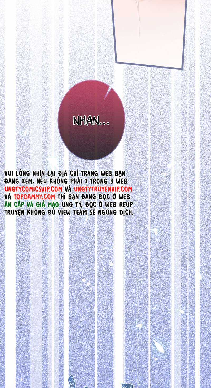 Báo Ân Của Sói - Chapter 1 - Trang 40