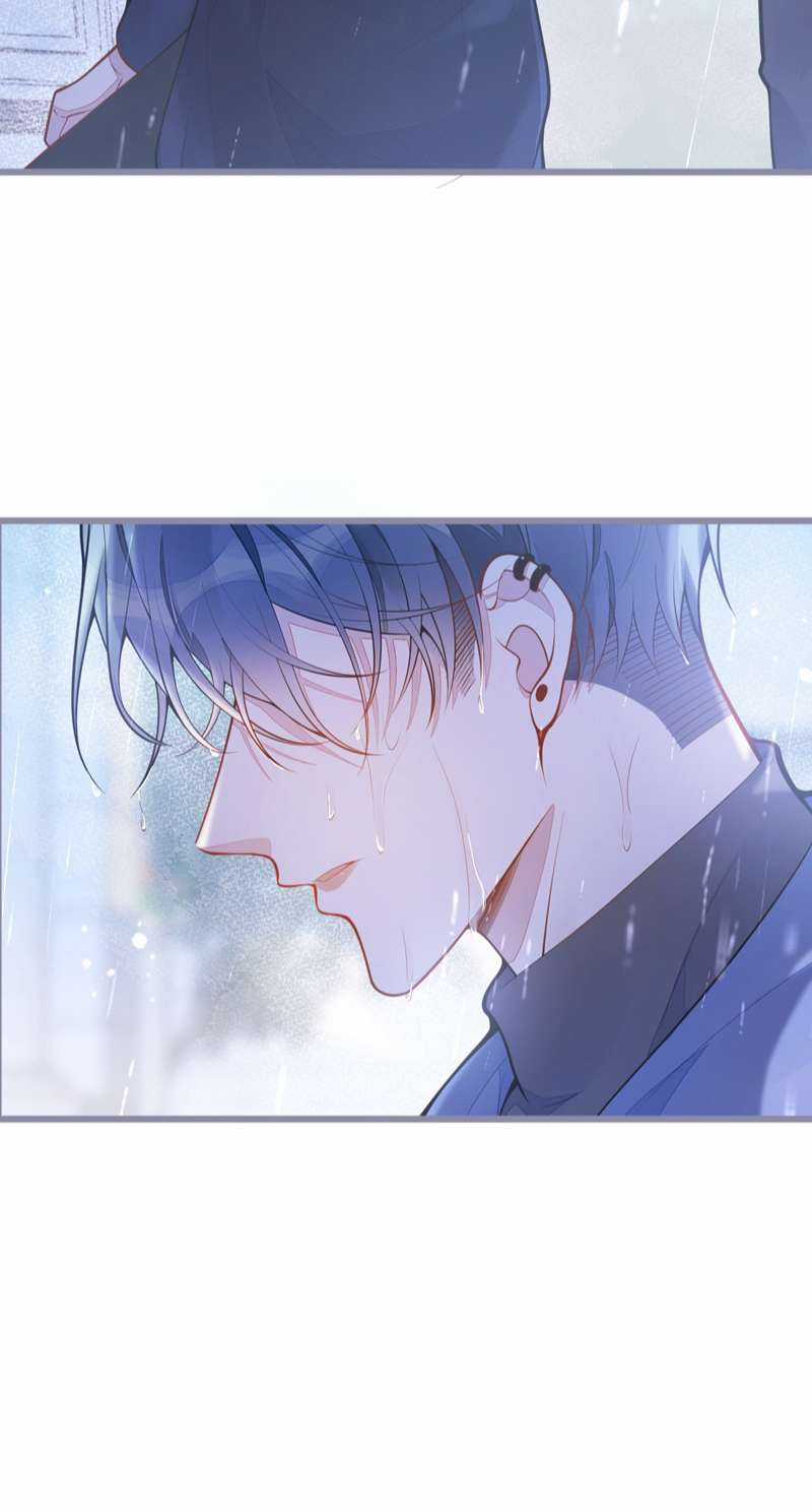 Báo Ân Của Sói - Chapter 1 - Trang 5