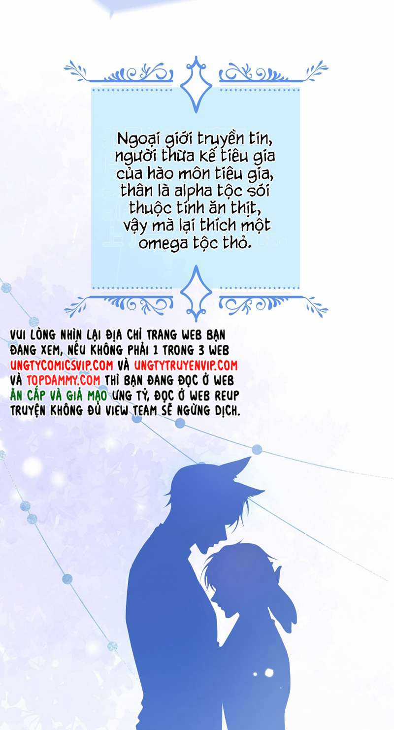 Báo Ân Của Sói - Chapter 1 - Trang 9