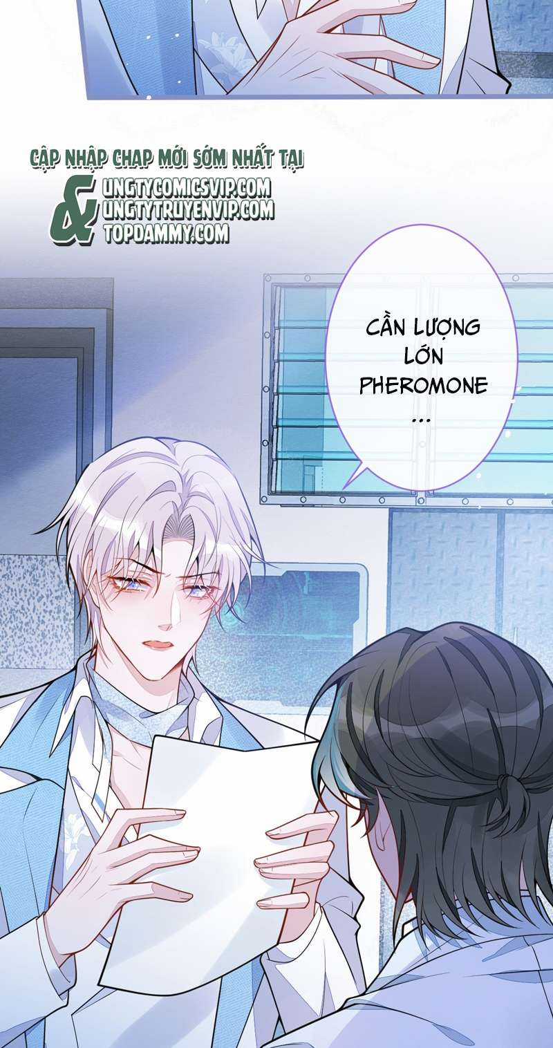 Báo Ân Của Sói - Chapter 10 - Trang 9