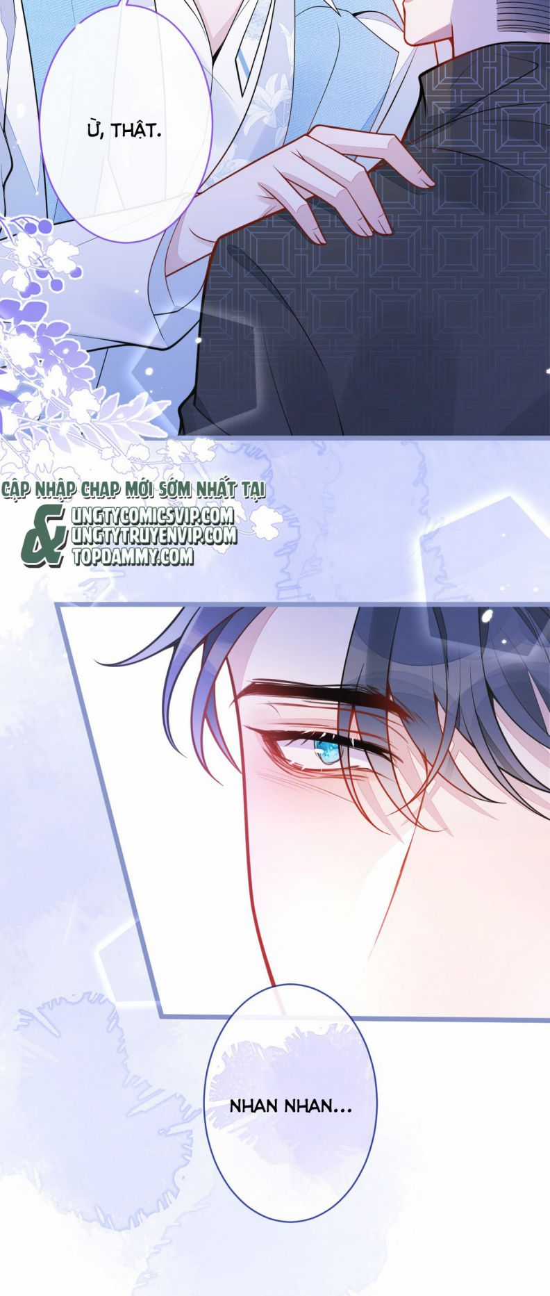 Báo Ân Của Sói - Chapter 11 - Trang 7