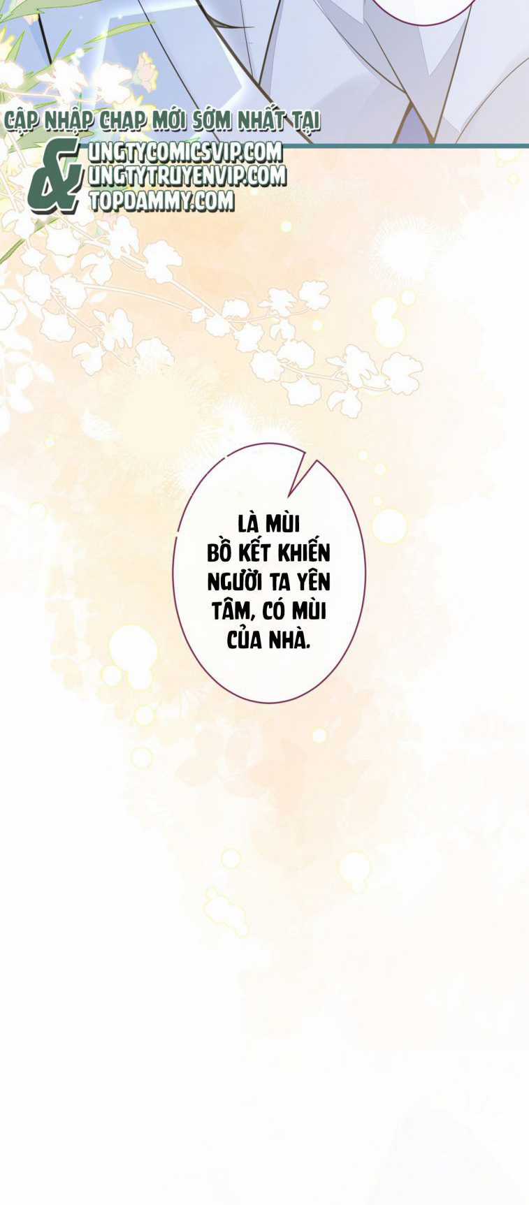 Báo Ân Của Sói - Chapter 17 - Trang 5