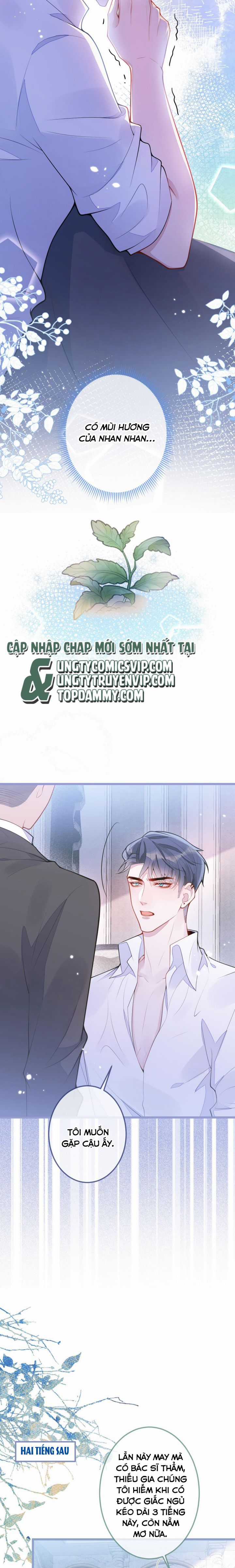 Báo Ân Của Sói - Chapter 2 - Trang 7