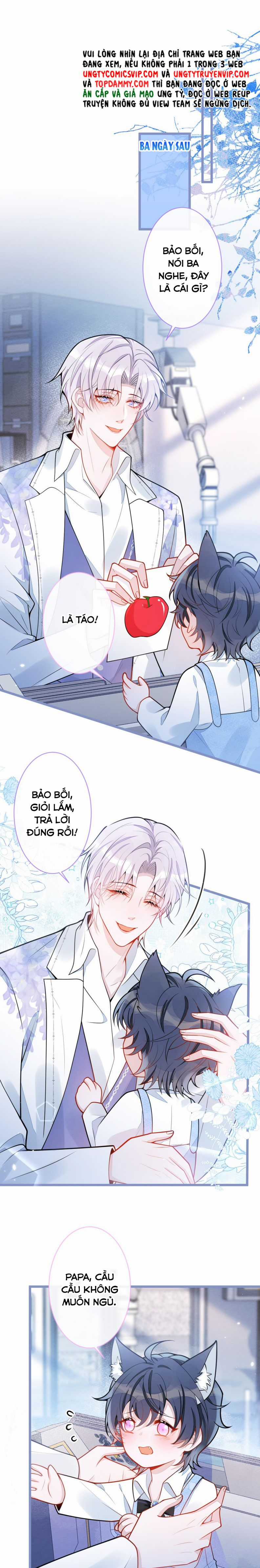 Báo Ân Của Sói - Chapter 22 - Trang 3