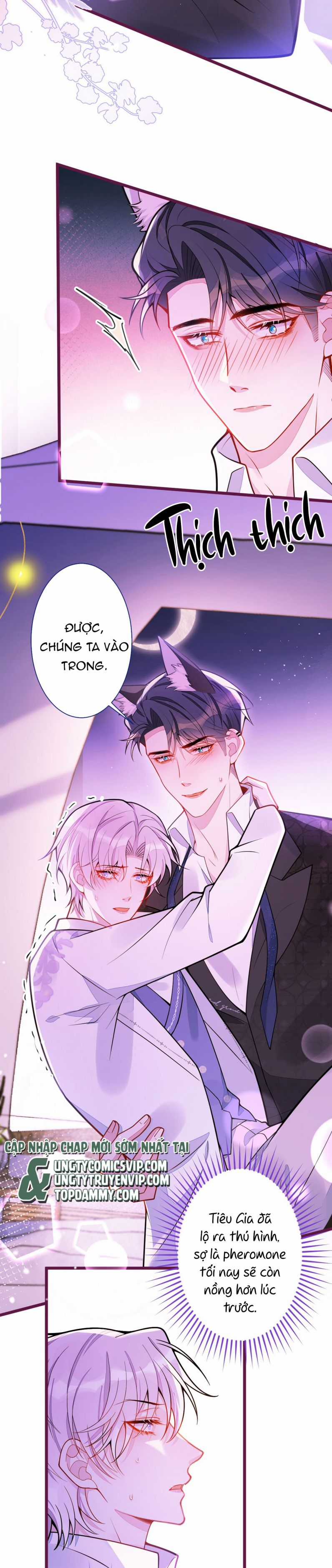 Báo Ân Của Sói - Chapter 24 - Trang 4