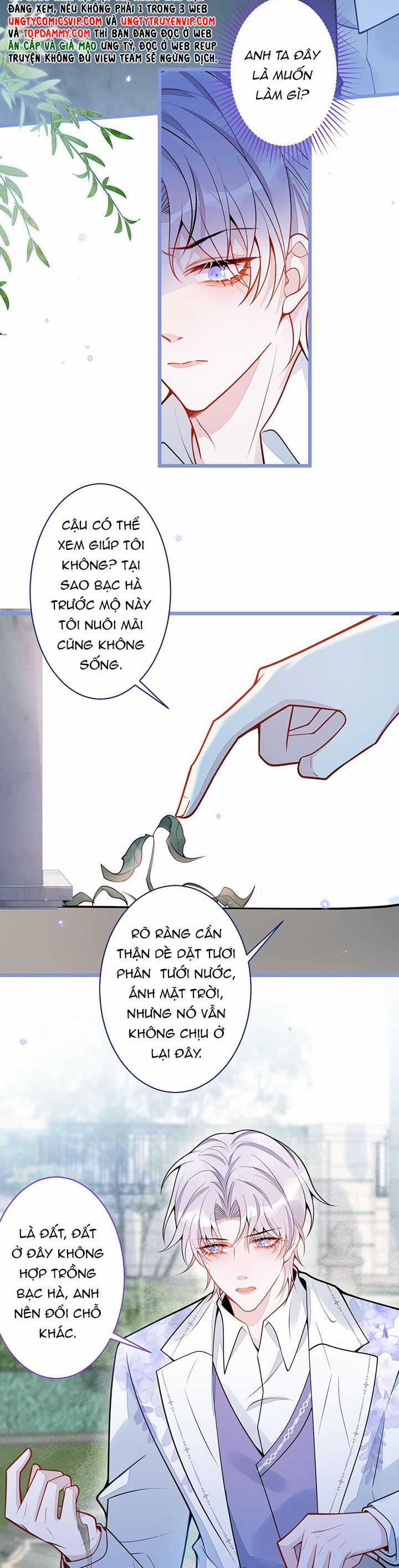 Báo Ân Của Sói - Chapter 29 - Trang 5