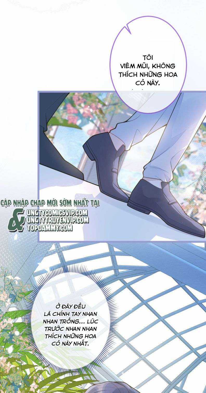 Báo Ân Của Sói - Chapter 3 - Trang 12