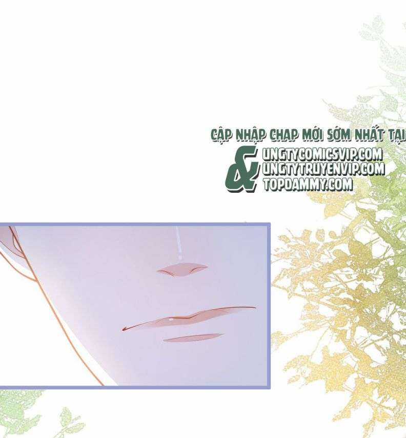 Báo Ân Của Sói - Chapter 3 - Trang 15