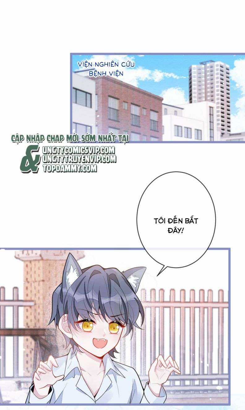 Báo Ân Của Sói - Chapter 3 - Trang 27