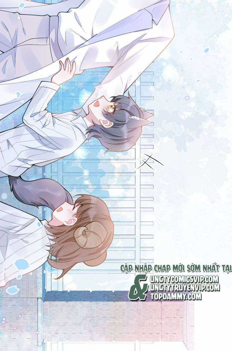 Báo Ân Của Sói - Chapter 3 - Trang 29