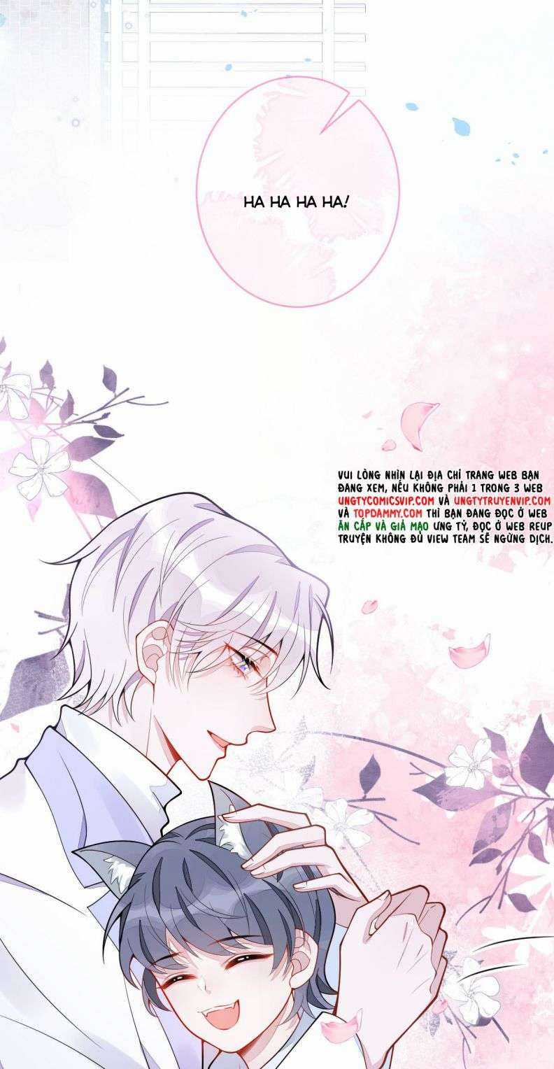 Báo Ân Của Sói - Chapter 3 - Trang 30