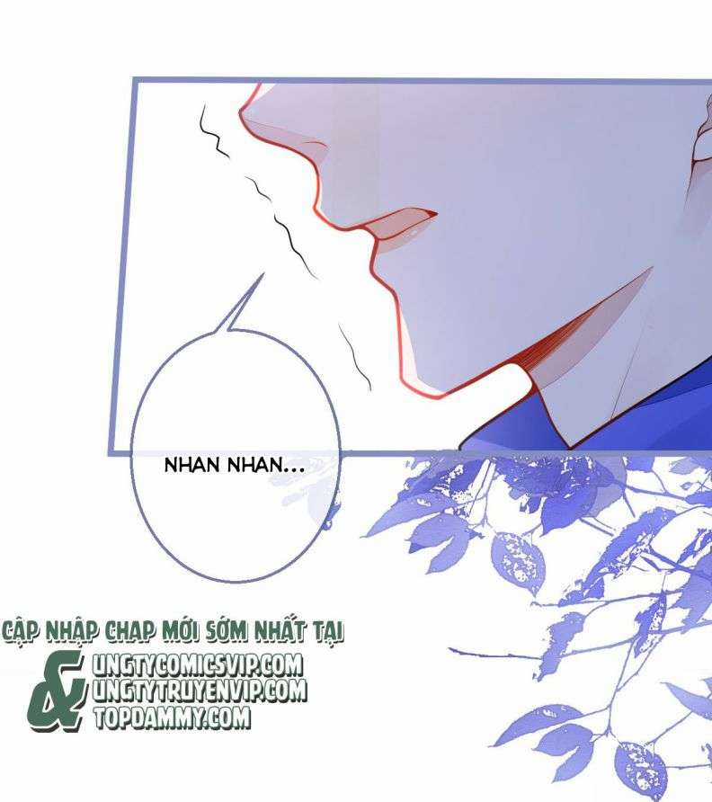 Báo Ân Của Sói - Chapter 3 - Trang 33