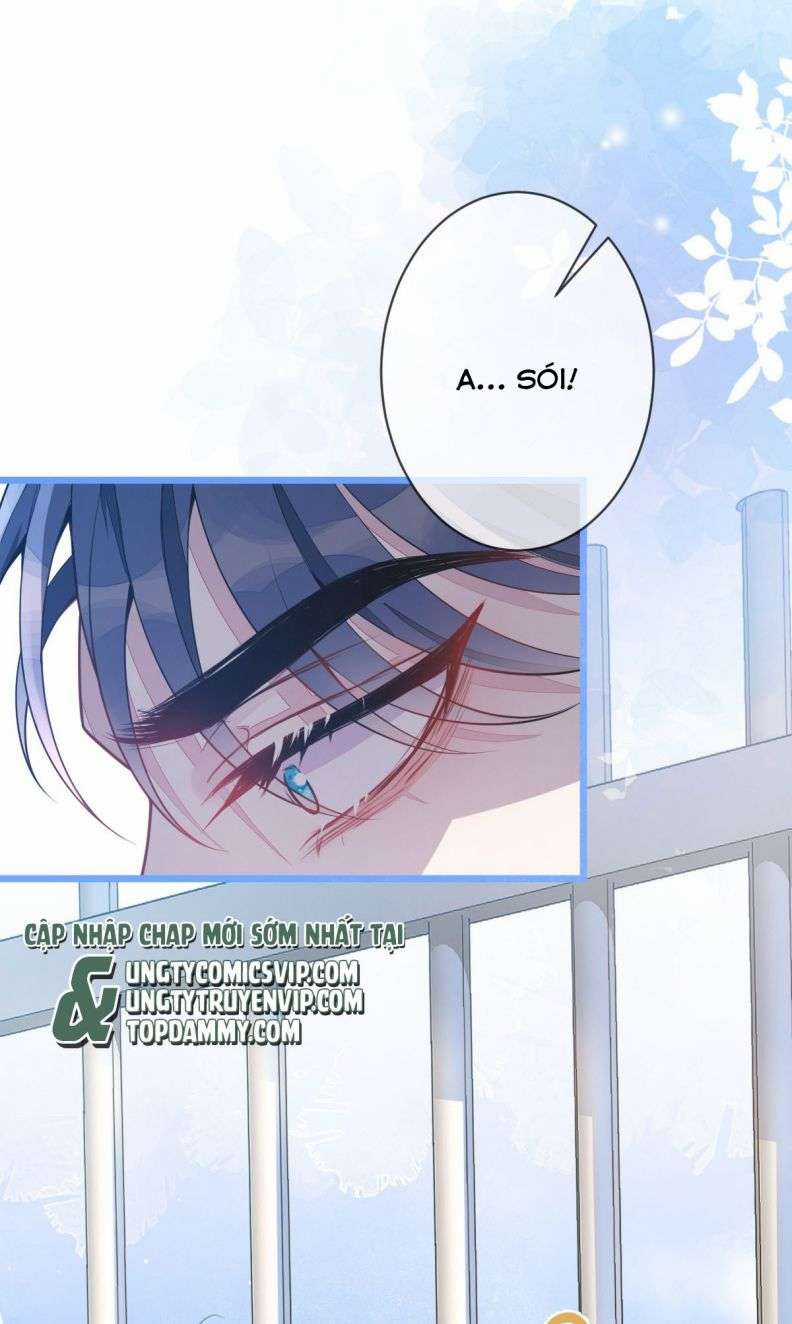 Báo Ân Của Sói - Chapter 3 - Trang 38