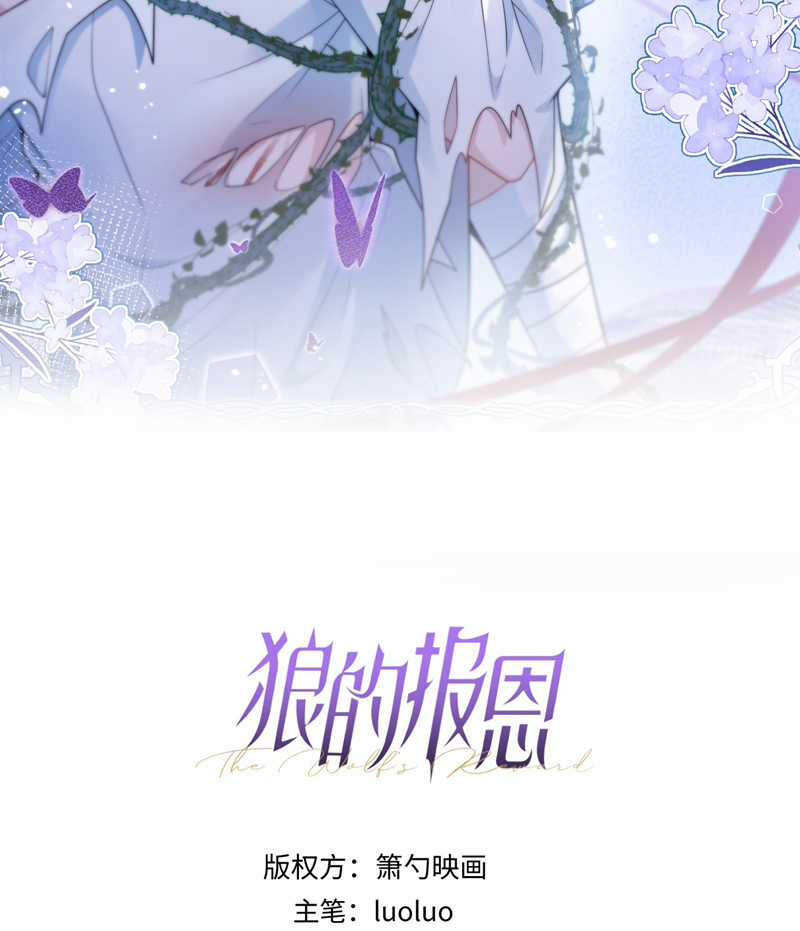 Báo Ân Của Sói - Chapter 35 - Trang 3