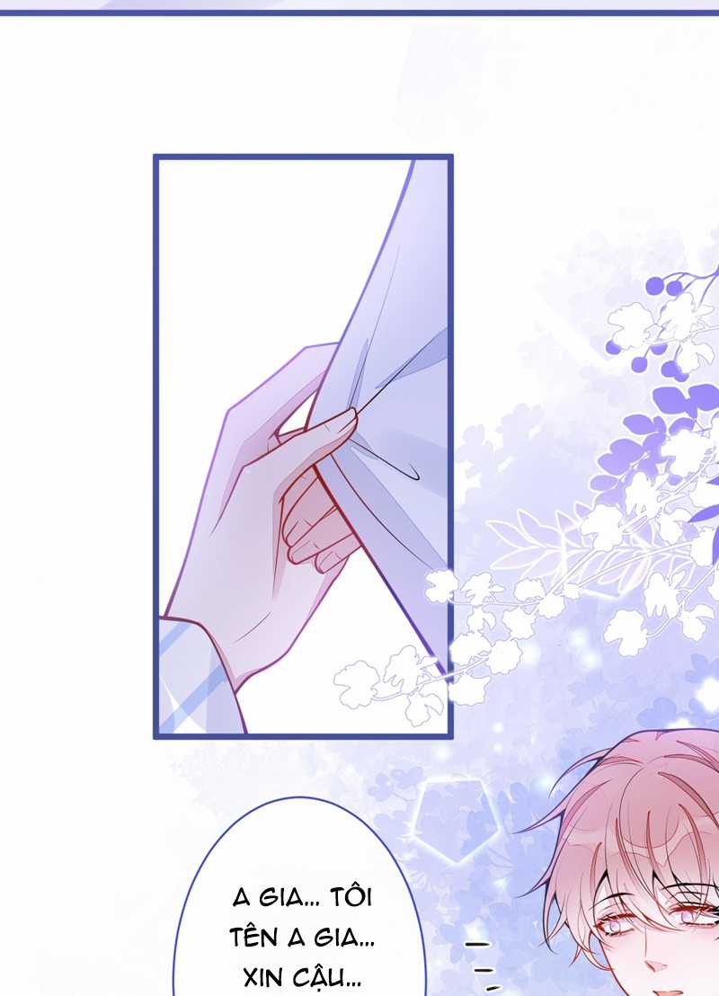 Báo Ân Của Sói - Chapter 35 - Trang 38