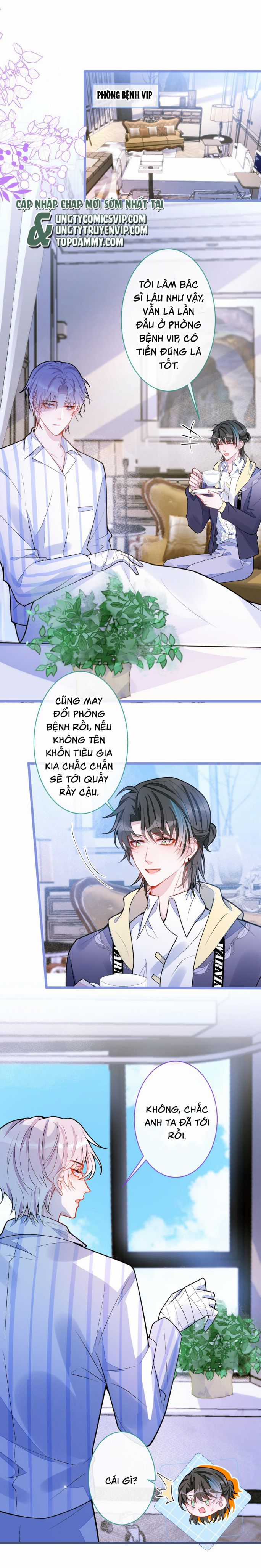 Báo Ân Của Sói - Chapter 36 - Trang 2
