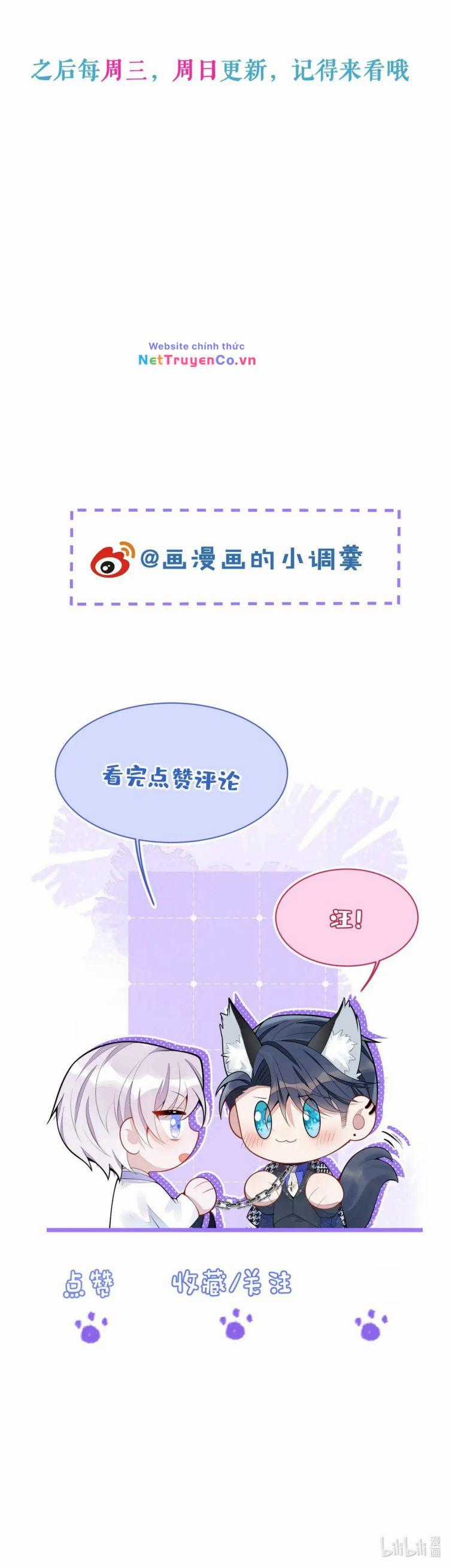 Báo Ân Của Sói - Chapter 38 - Trang 24