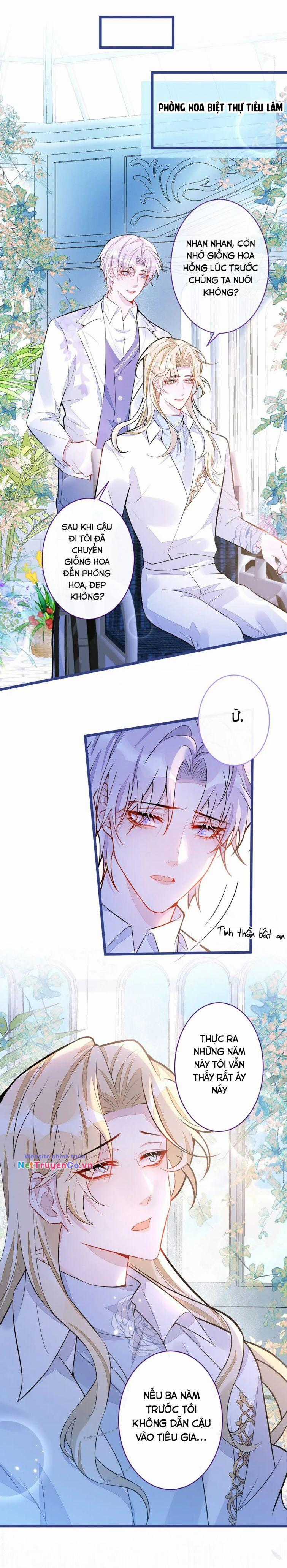 Báo Ân Của Sói - Chapter 38 - Trang 6