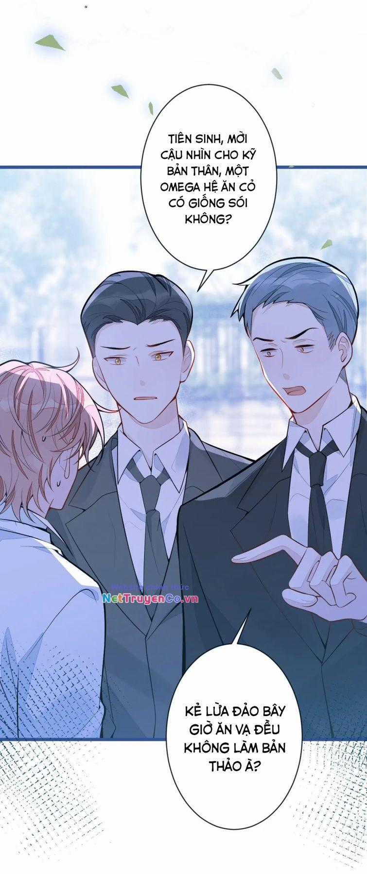 Báo Ân Của Sói - Chapter 38 - Trang 8