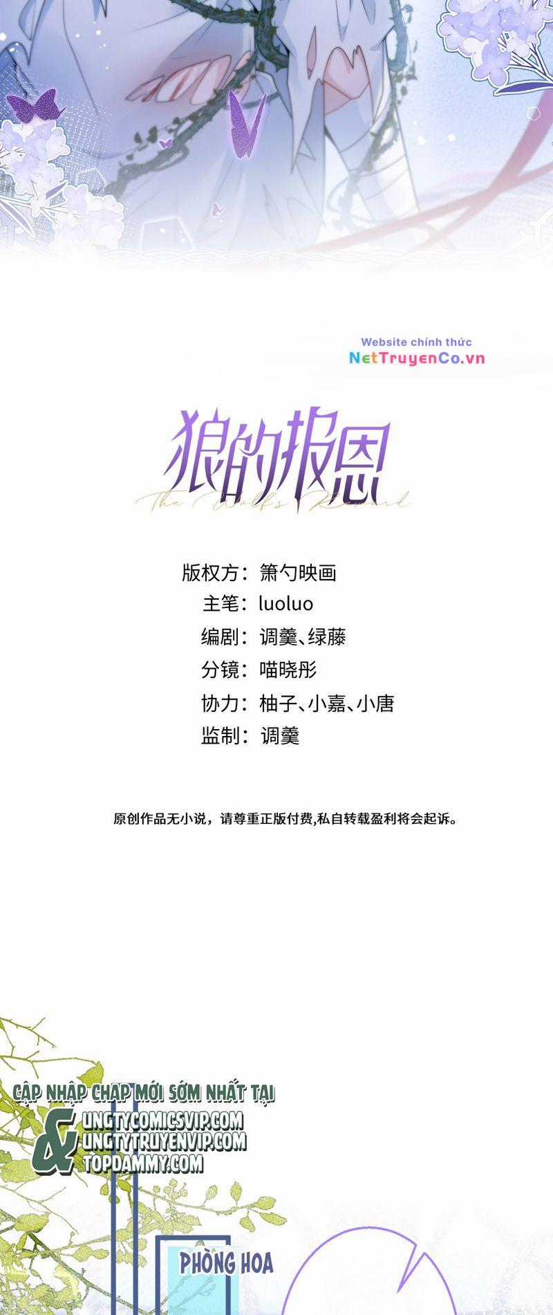 Báo Ân Của Sói - Chapter 39 - Trang 2