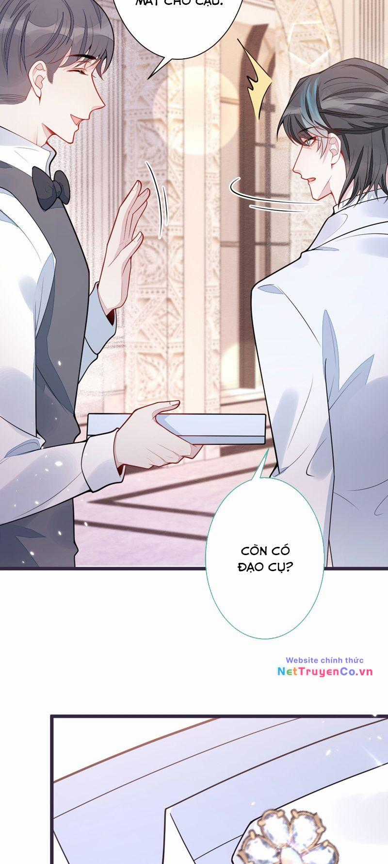 Báo Ân Của Sói - Chapter 39 - Trang 17