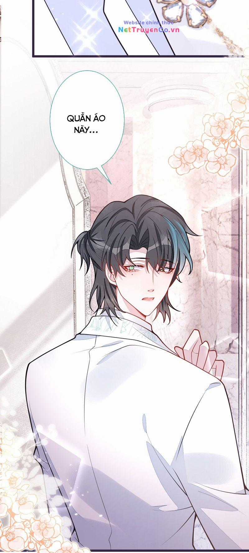 Báo Ân Của Sói - Chapter 39 - Trang 18