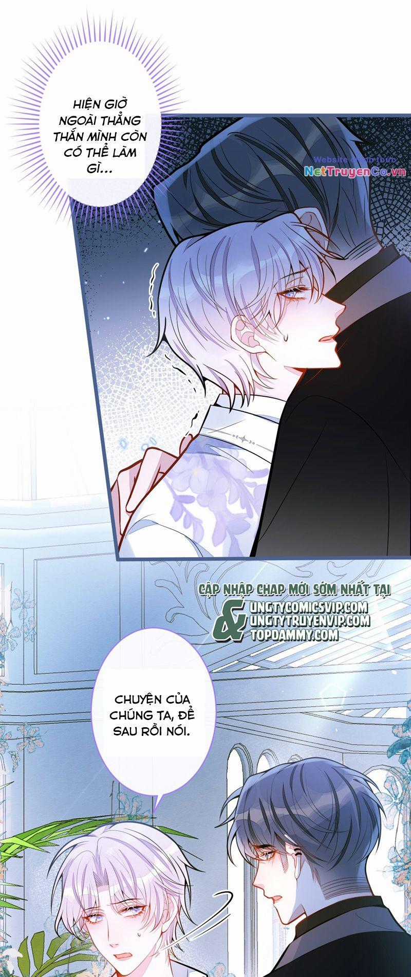 Báo Ân Của Sói - Chapter 39 - Trang 5