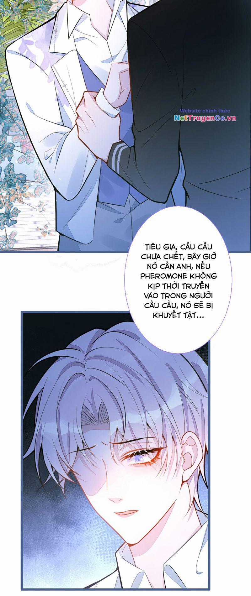 Báo Ân Của Sói - Chapter 39 - Trang 6