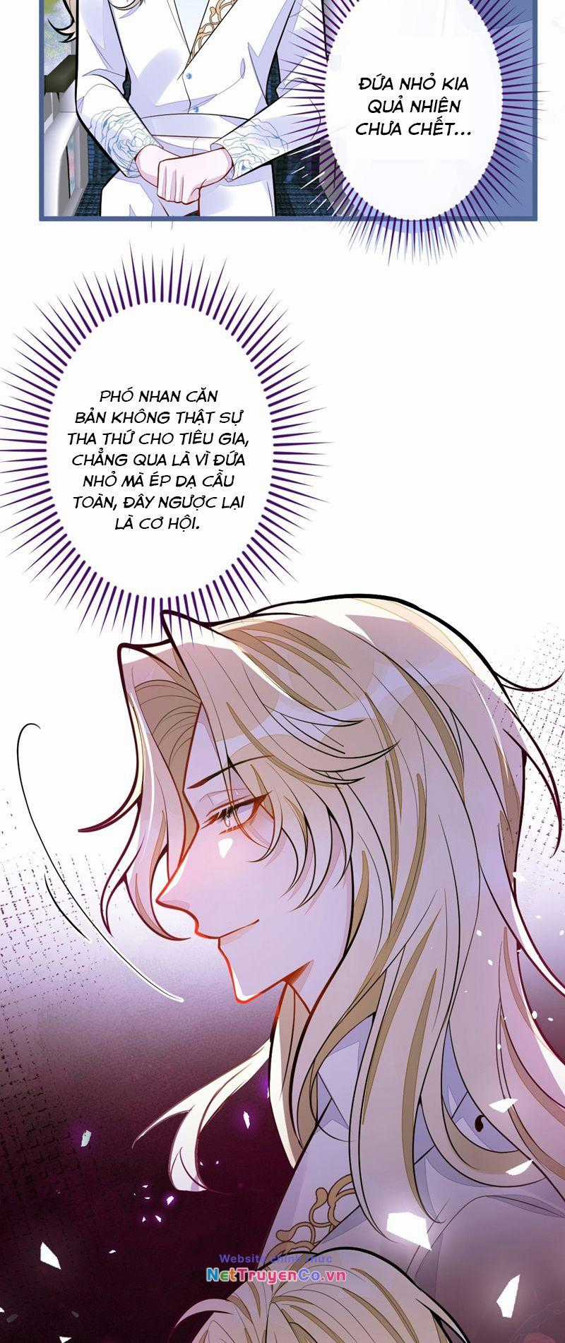 Báo Ân Của Sói - Chapter 39 - Trang 9