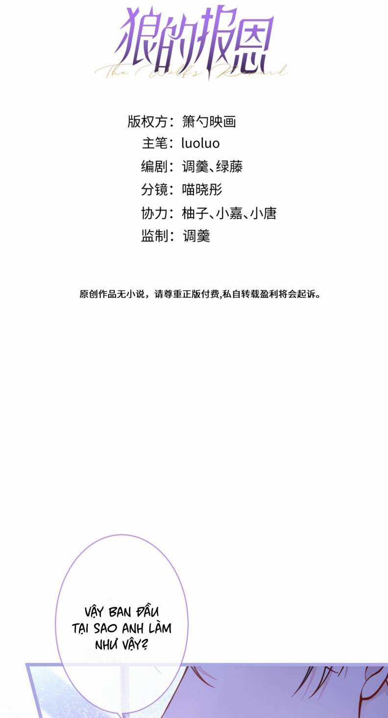 Báo Ân Của Sói - Chapter 4 - Trang 2