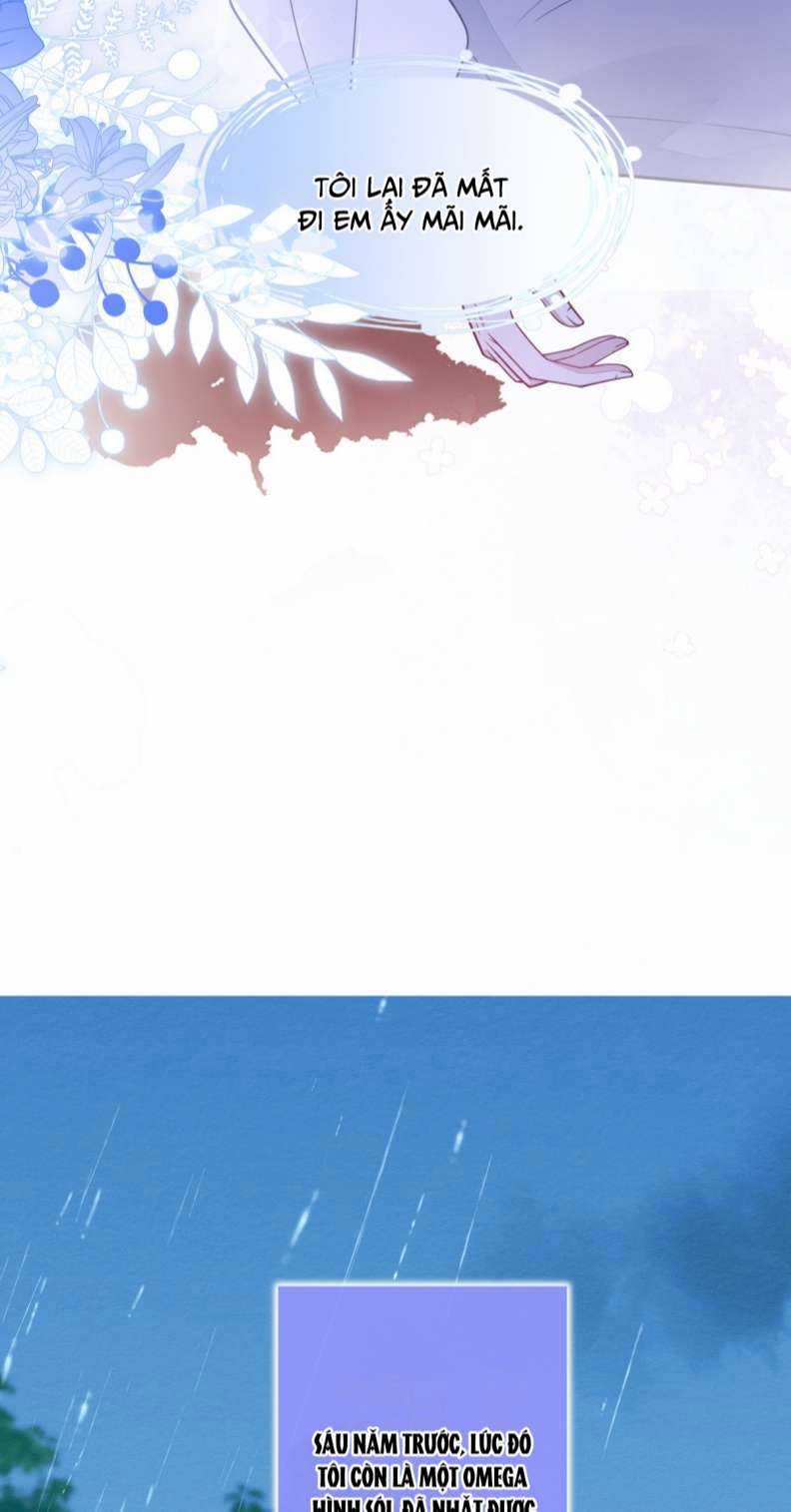 Báo Ân Của Sói - Chapter 4 - Trang 25