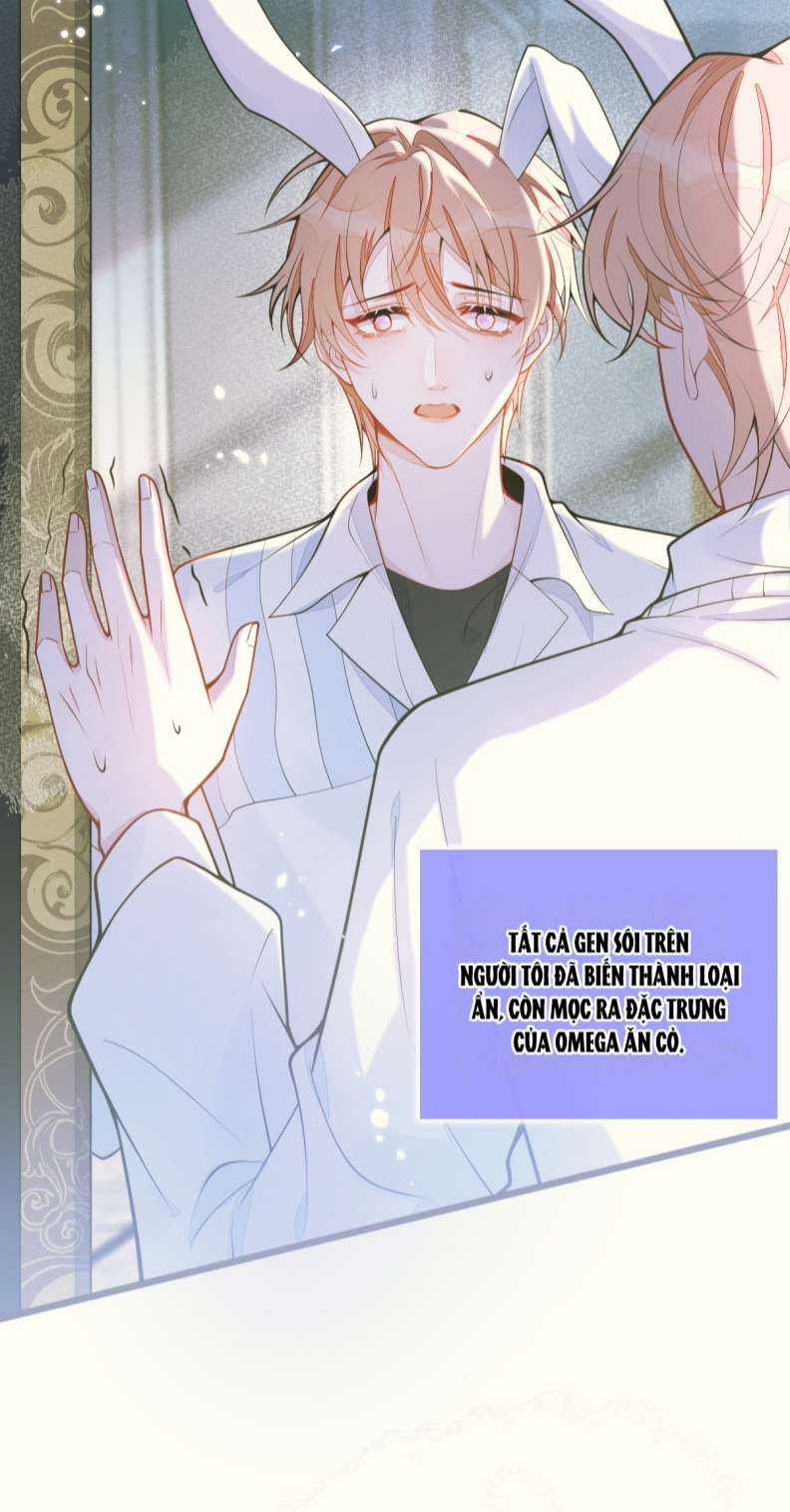 Báo Ân Của Sói - Chapter 4 - Trang 30