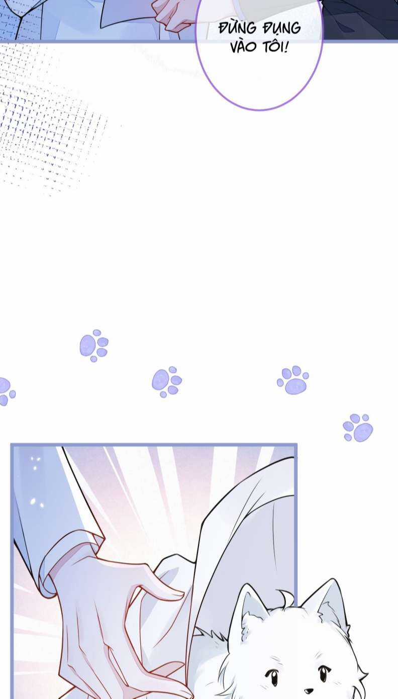 Báo Ân Của Sói - Chapter 4 - Trang 44