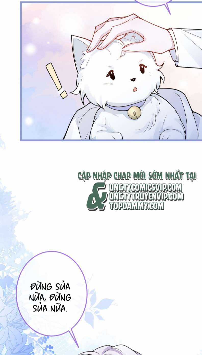 Báo Ân Của Sói - Chapter 4 - Trang 47