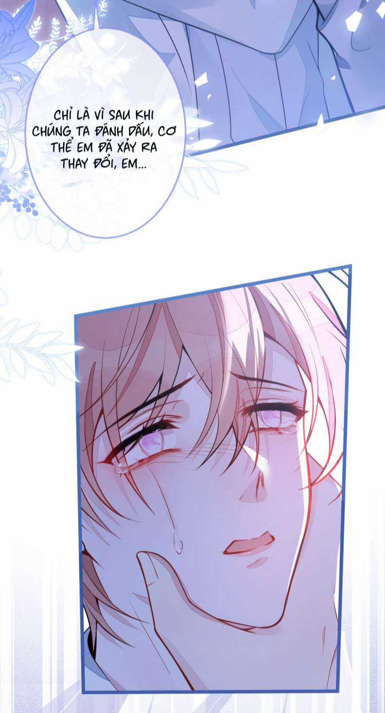 Báo Ân Của Sói - Chapter 4 - Trang 7