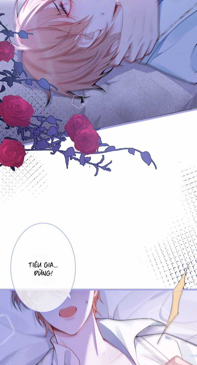 Báo Ân Của Sói - Chapter 4 - Trang 9