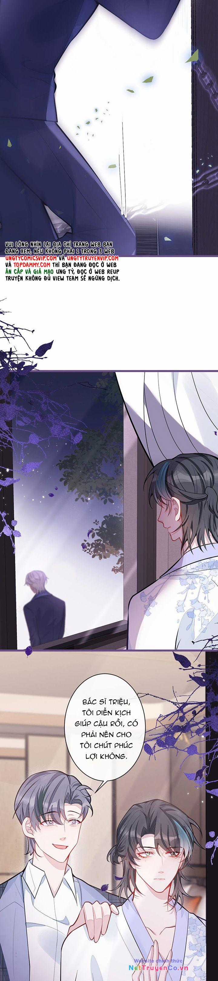 Báo Ân Của Sói - Chapter 40 - Trang 11