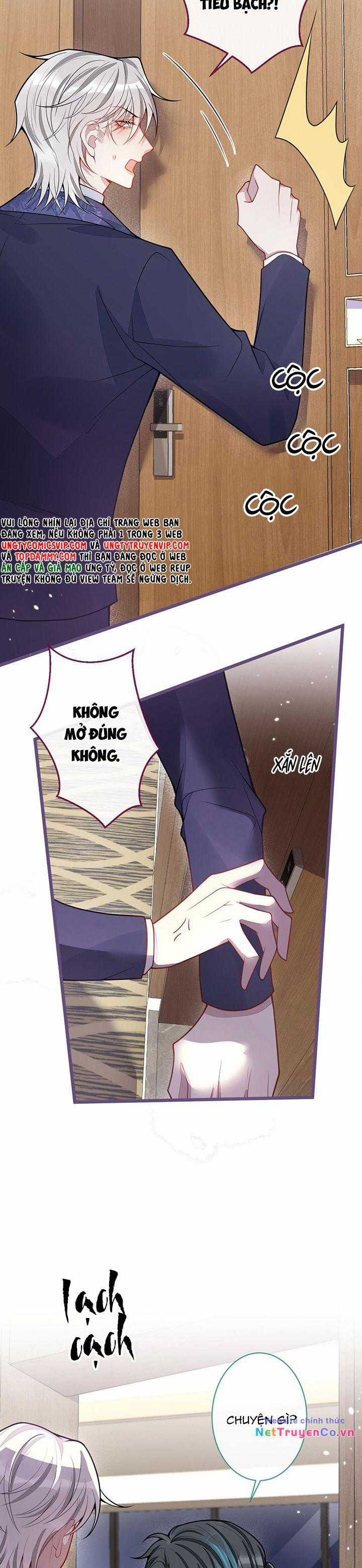 Báo Ân Của Sói - Chapter 40 - Trang 6