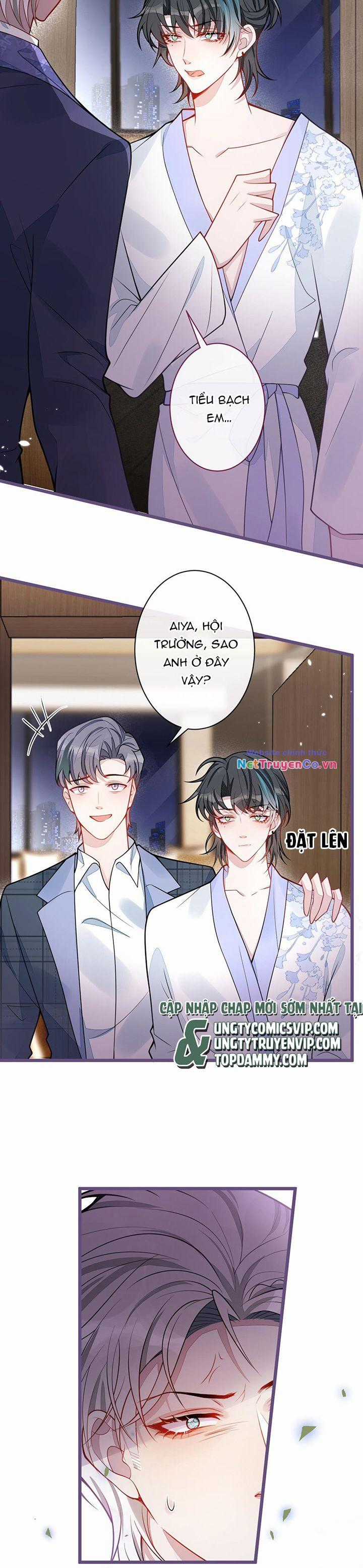 Báo Ân Của Sói - Chapter 40 - Trang 7