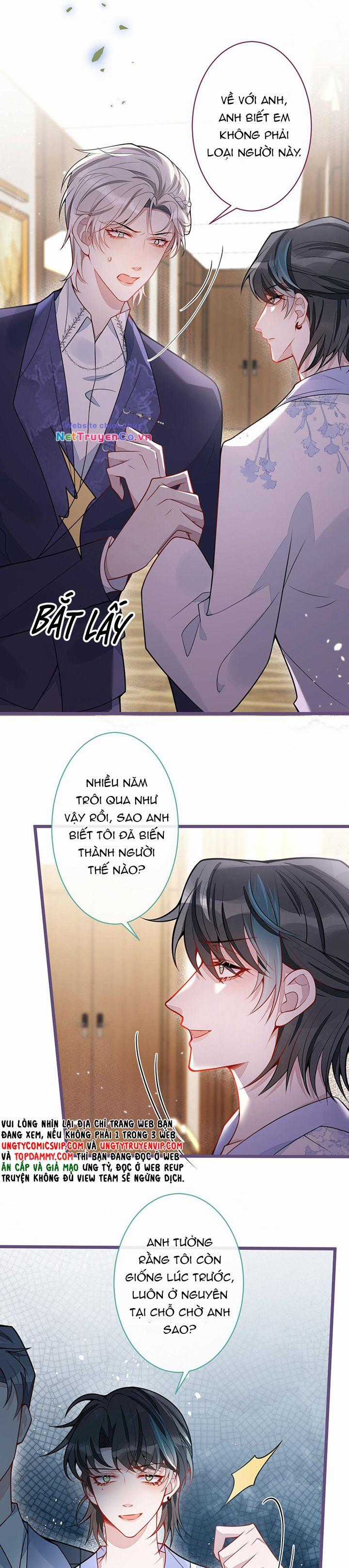 Báo Ân Của Sói - Chapter 40 - Trang 8