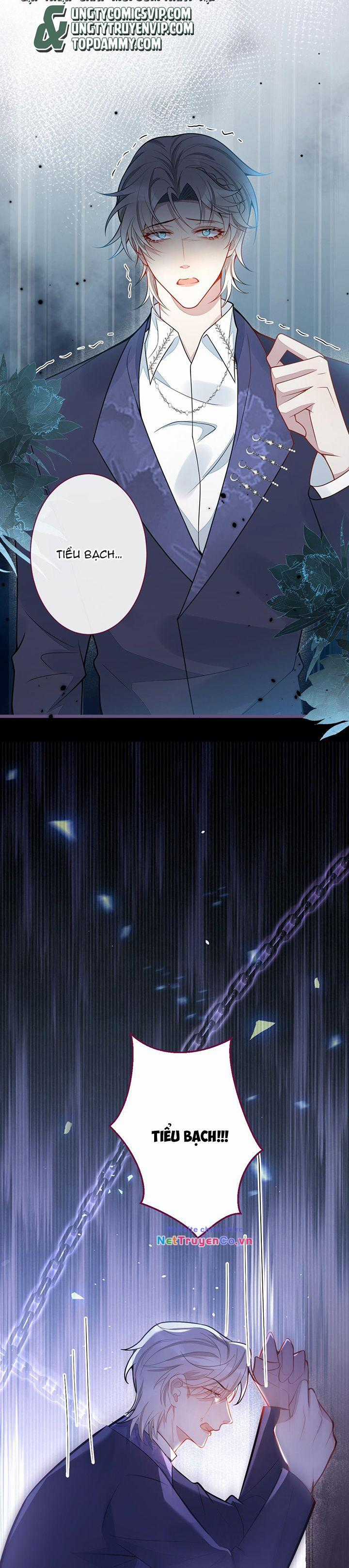 Báo Ân Của Sói - Chapter 40 - Trang 10