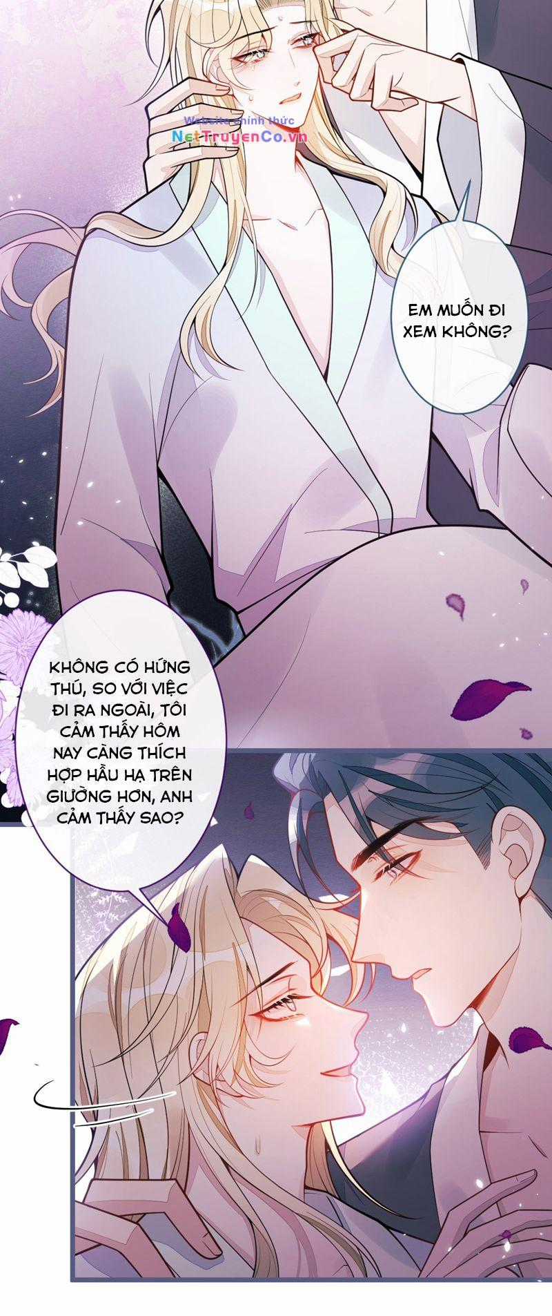 Báo Ân Của Sói - Chapter 41 - Trang 14
