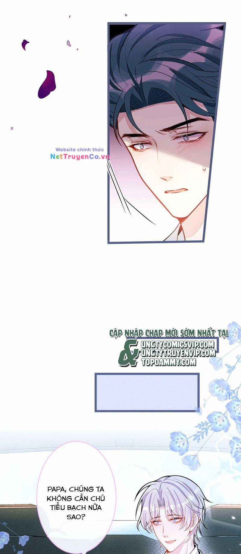 Báo Ân Của Sói - Chapter 41 - Trang 15