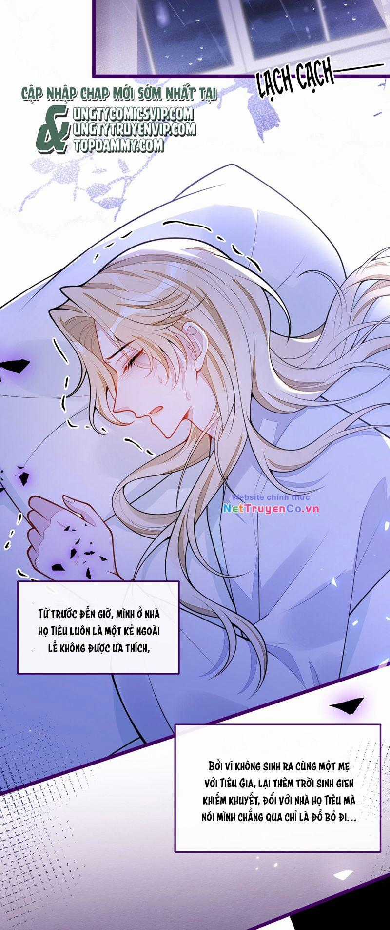 Báo Ân Của Sói - Chapter 41 - Trang 3