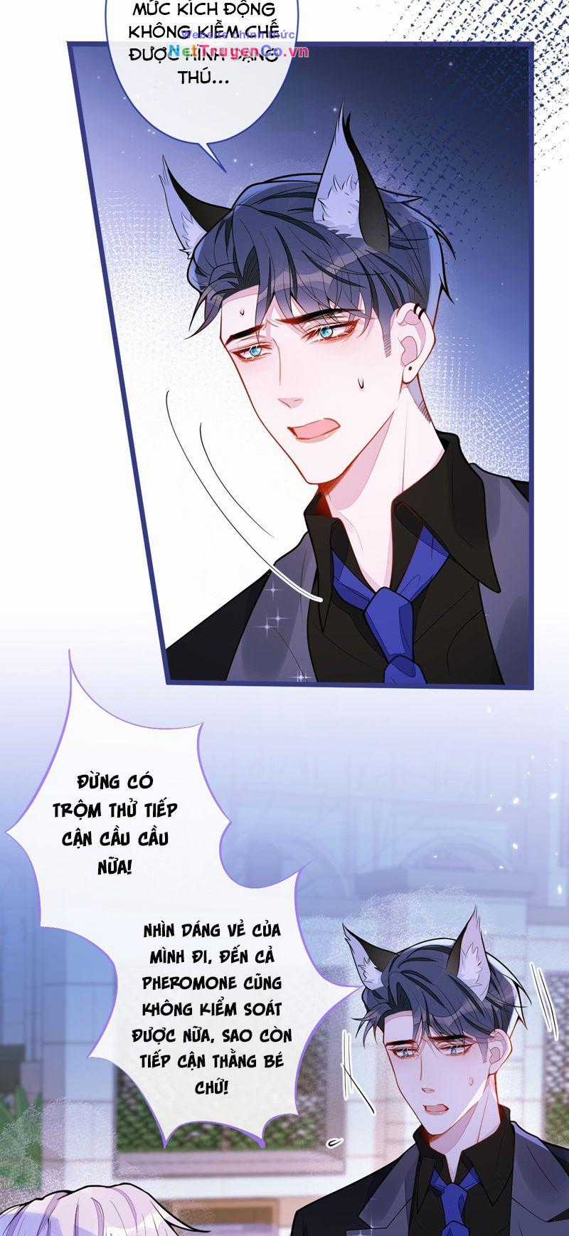 Báo Ân Của Sói - Chapter 41 - Trang 32