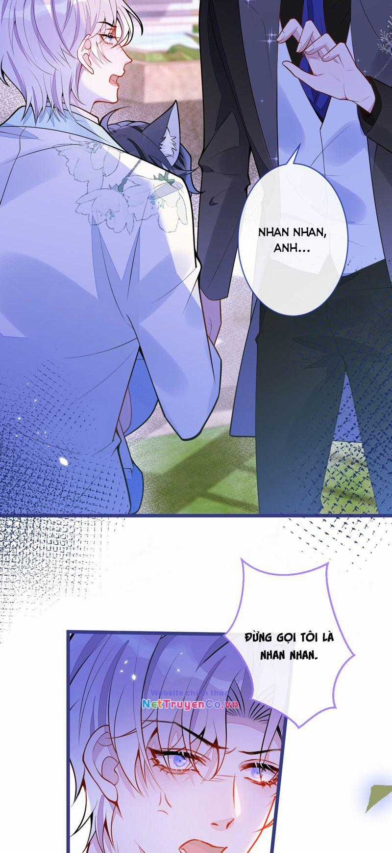 Báo Ân Của Sói - Chapter 41 - Trang 33