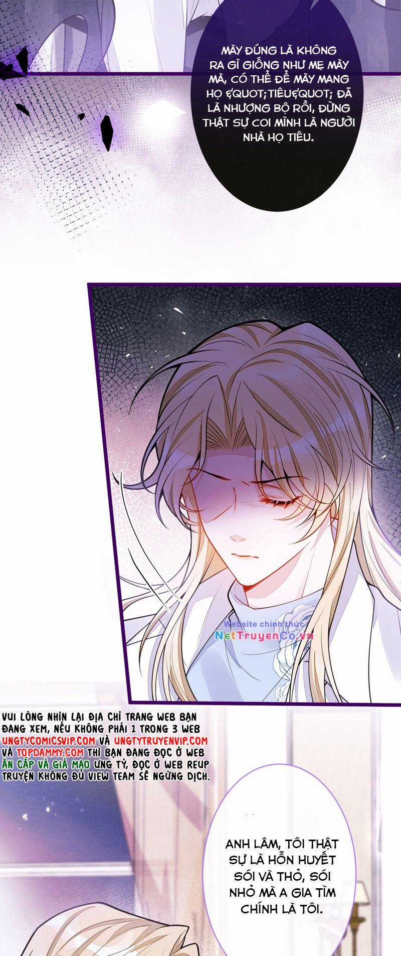 Báo Ân Của Sói - Chapter 41 - Trang 5